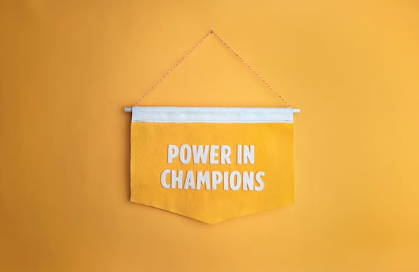 reasons why you should create a champion program for change management