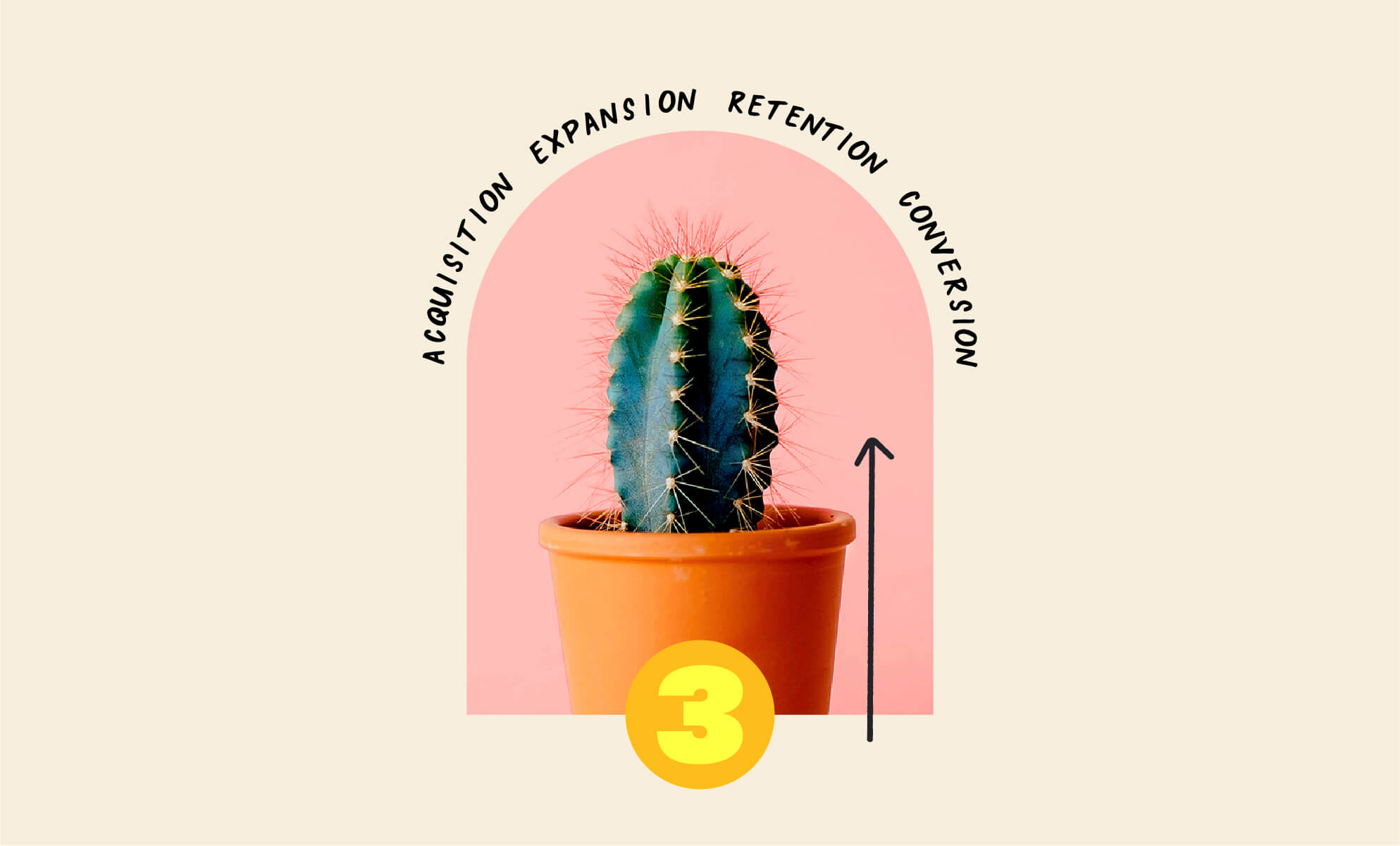 Cactus growing