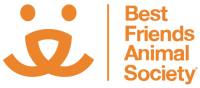 bfas_logo_footer